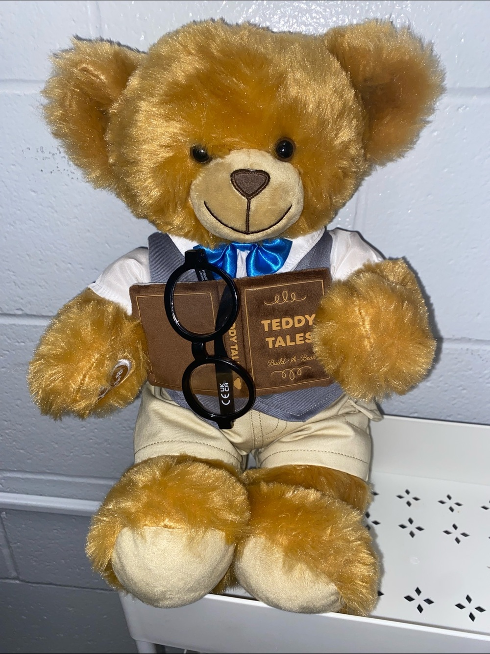 Build A Bear Teddy Bear with Storybook and Glasses - Brown